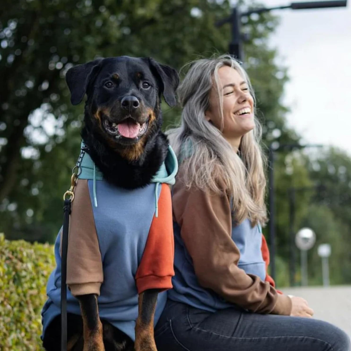 Dog Hoodie Buttery (Alpine / 4XL)