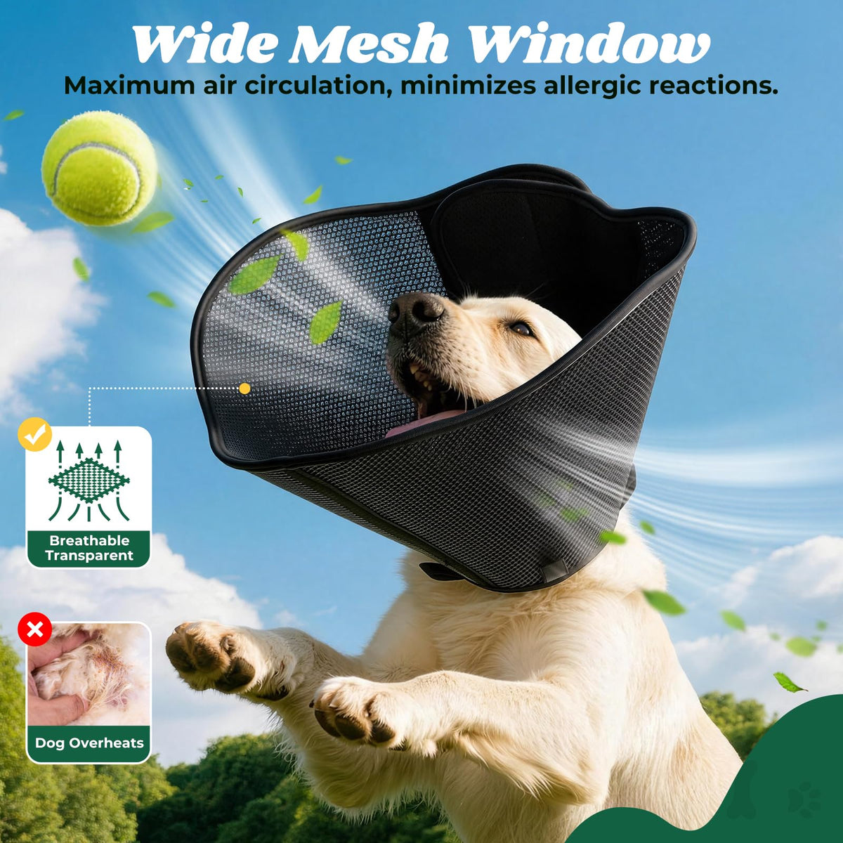 Soft Dog Cone Collar (Black / S(Neck Girth: 11.4''-12.6''))