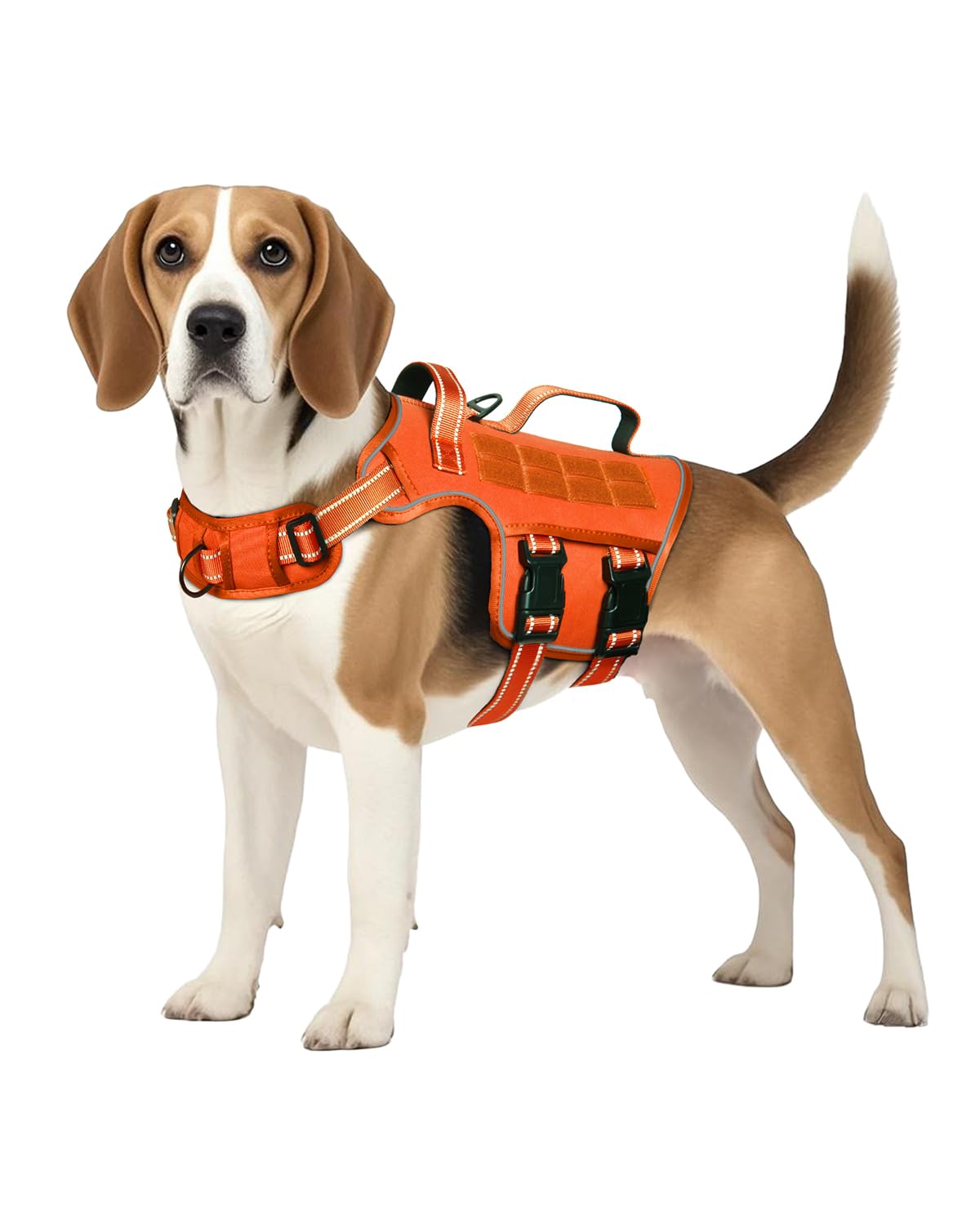 Dog Harness Medium Sized Dog (Orange / M(Neck:17-23",Chest:22-32"),35-50 lbs)