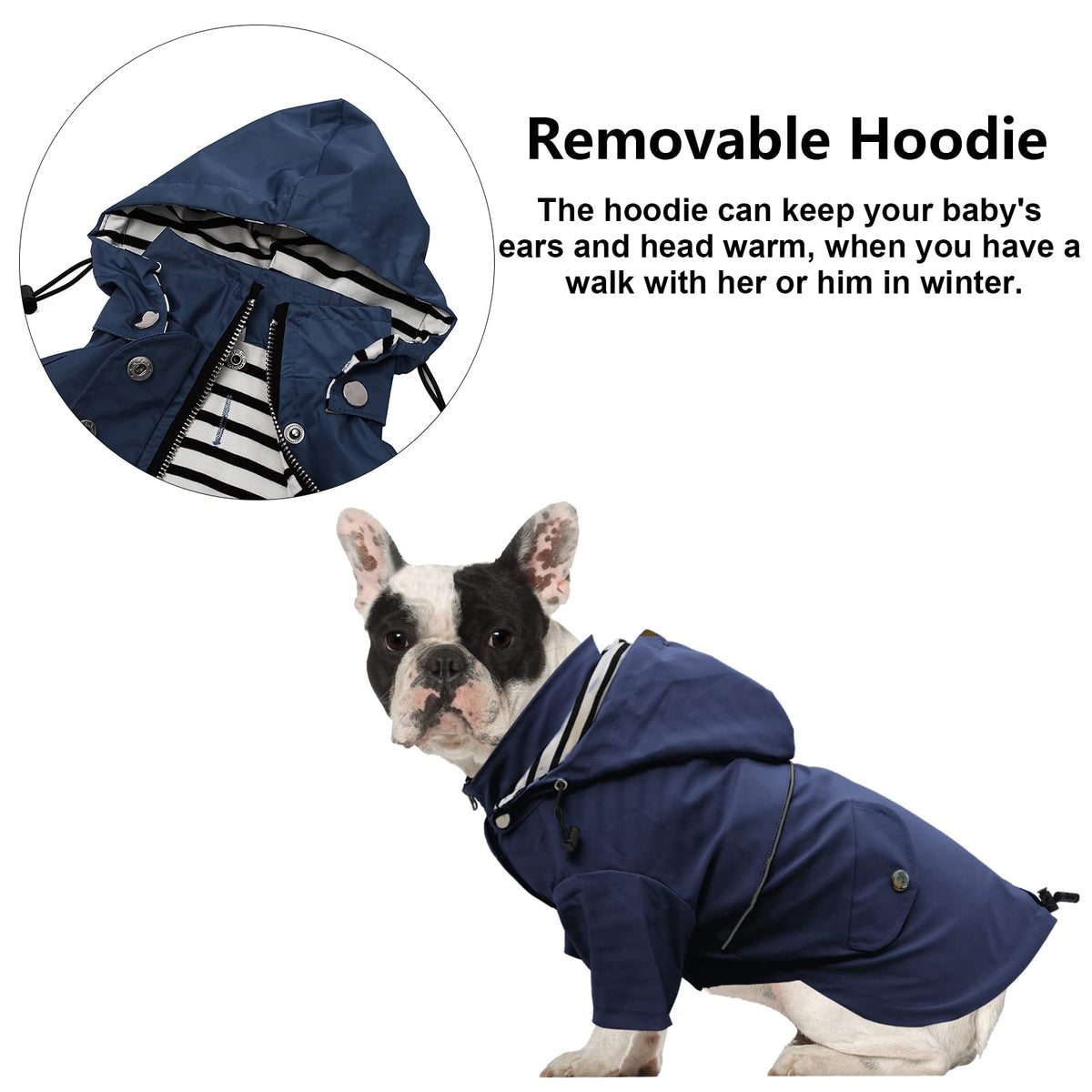 Dog Zip Up Raincoat with Reflective Buttons (Large / Dark Blue)