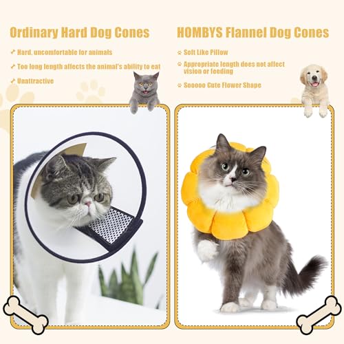 Soft Dog Cone for Dogs and Cats (M)