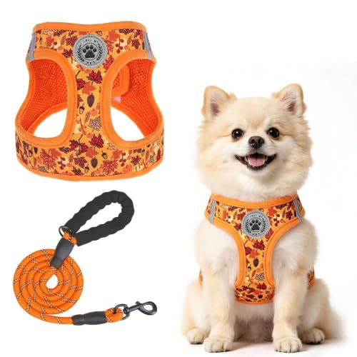 Small Dog Harness and Leash Set (Medium(Chest Girth 16" - 18") / Autumn)