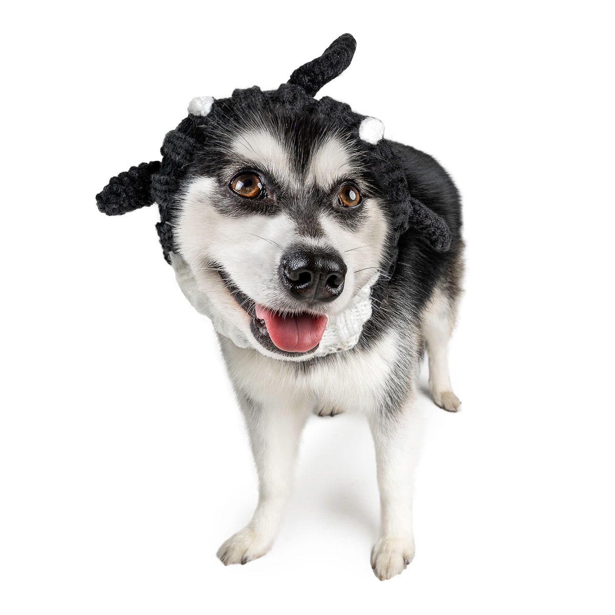Orca Costume Warm Knit Dog Snood Wrap for Pets (Medium / Orca)