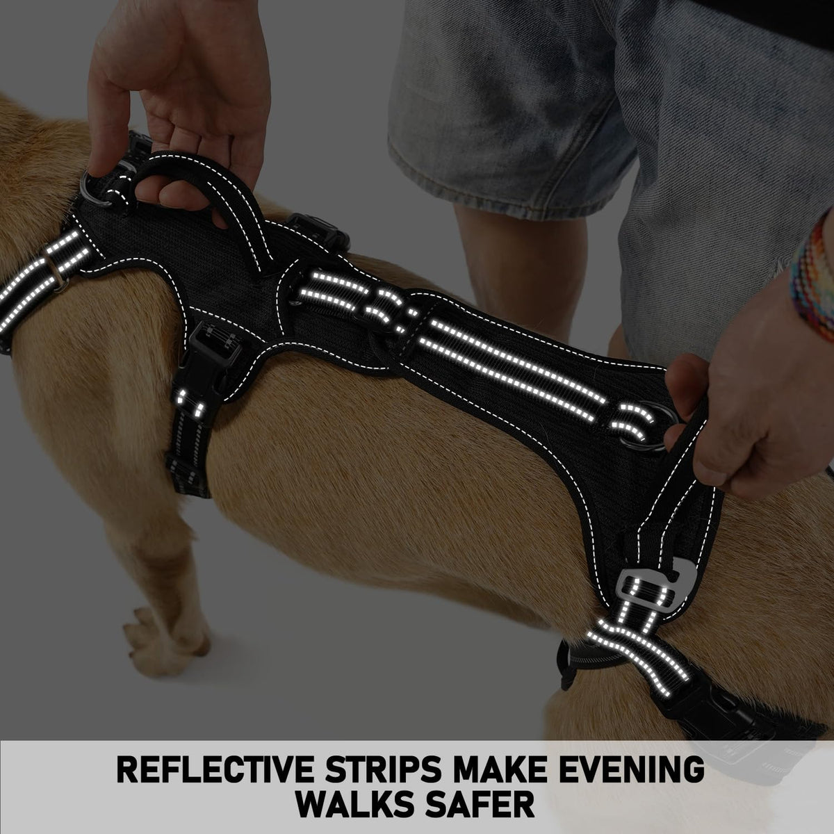 Mobility Dog Lift Harness (Black / L)
