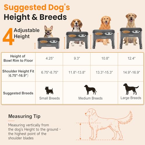 Mess Proof Elevated Dog Bowls (Grey / Medium)