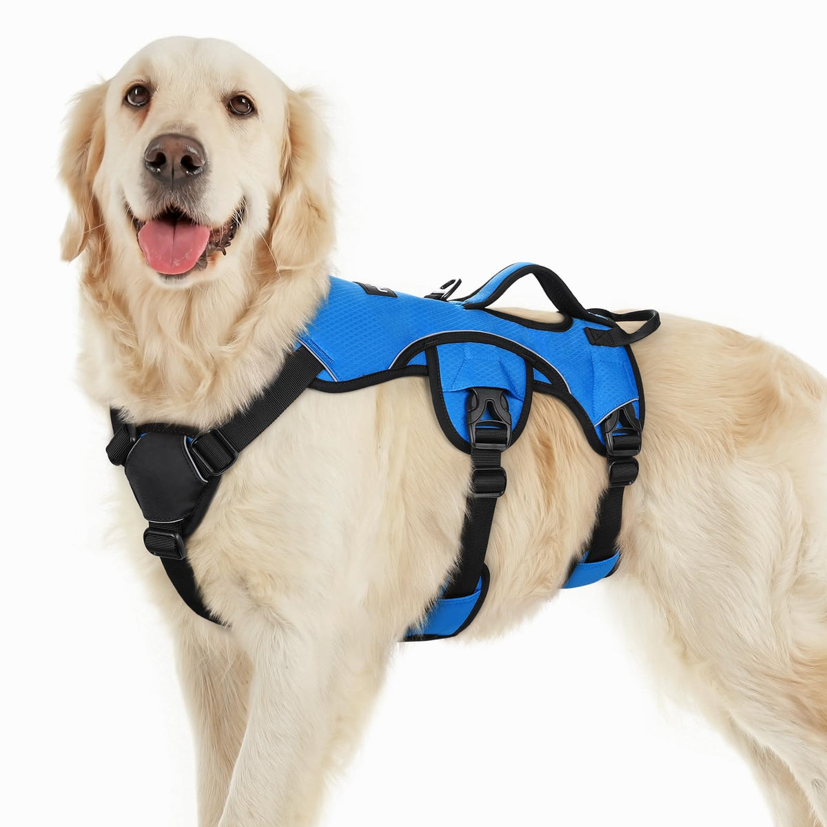 Escape Proof Dog Harness for Large (Blue / Large)