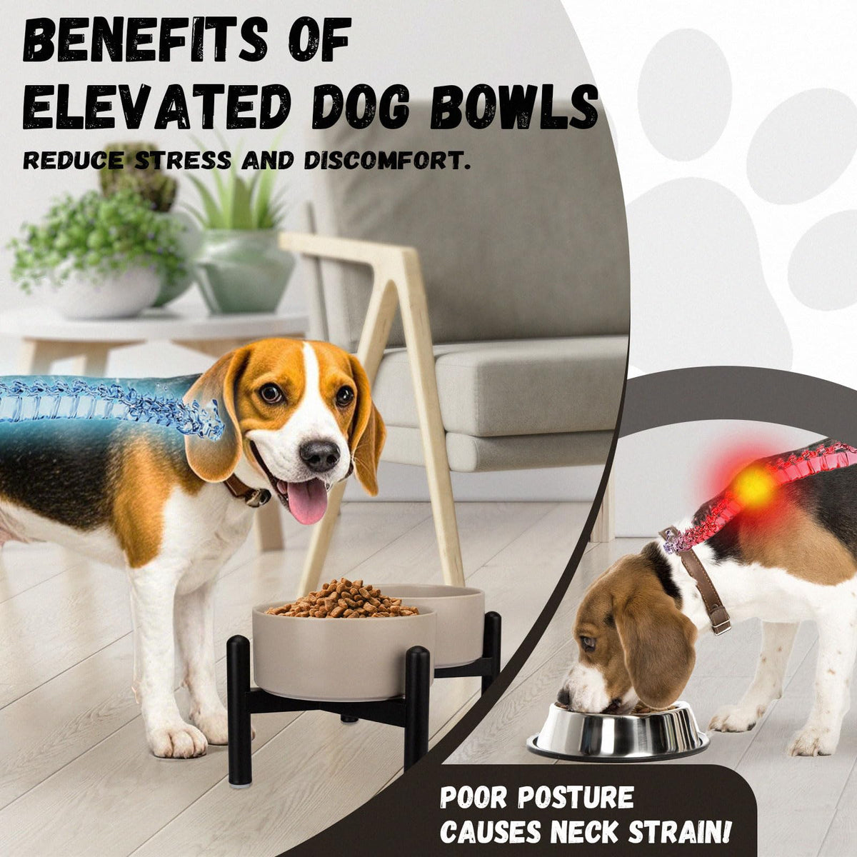 Raised Ceramic Dog Bowl Set with Stand (Black / 2 Bowls - 3.5 Cups Each)