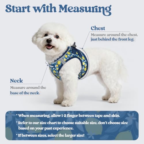 Dog Harness Medium Sized and Leash Set (Navy Lemon / M (chest: 16 - 18.5"))