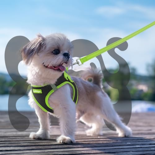 Dog Harness Small Sized and Leash Set (Black & Green / S (Chest: 15.1"-16.5"))