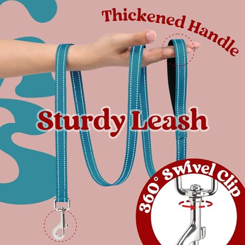 Dog Harness Small Sized and Leash Set (Red & Teal / XS (Chest: 13.3"-15.5"))