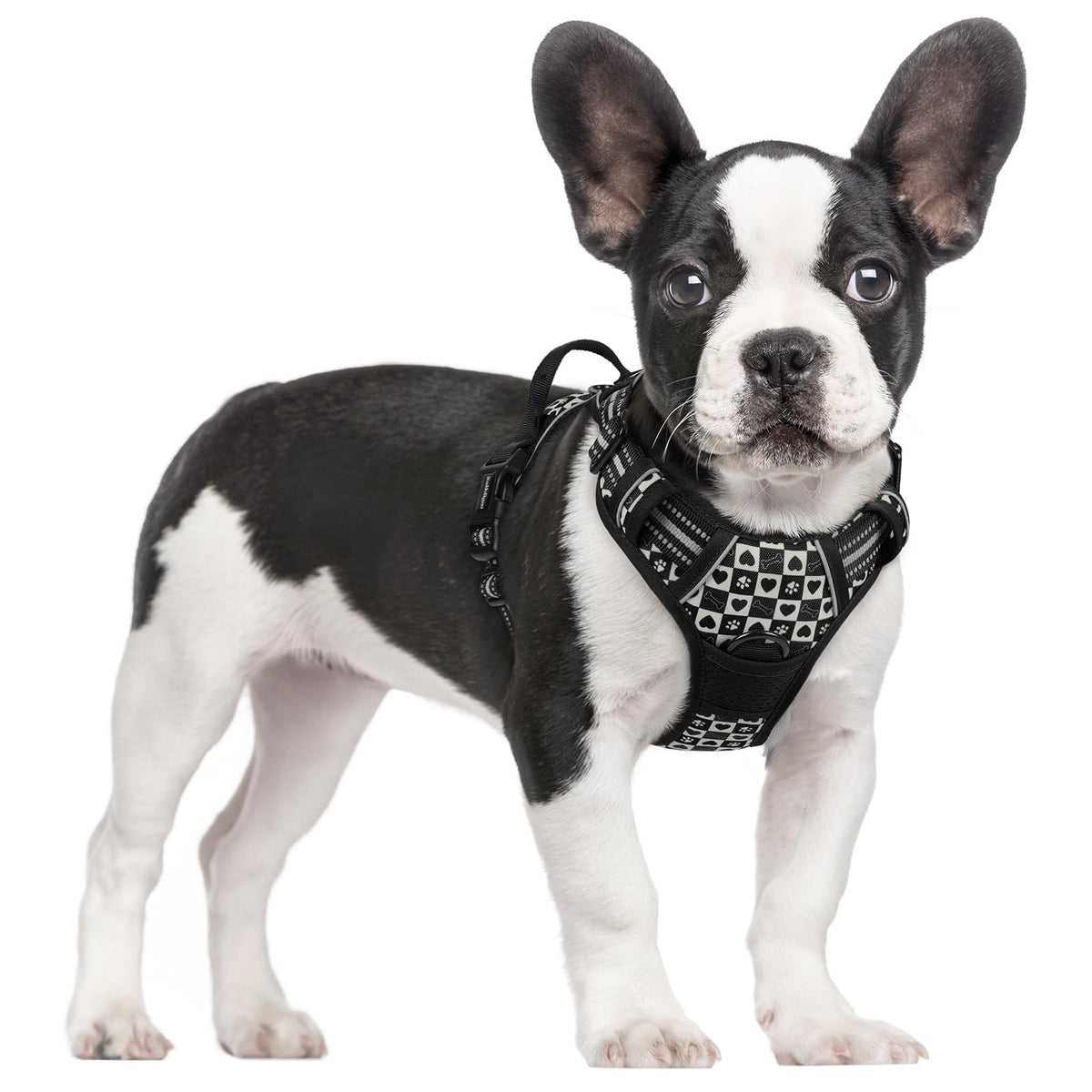 Dog Harness No Pull for Large Dogs with 2 Leash Clips (Small / Black Grid)
