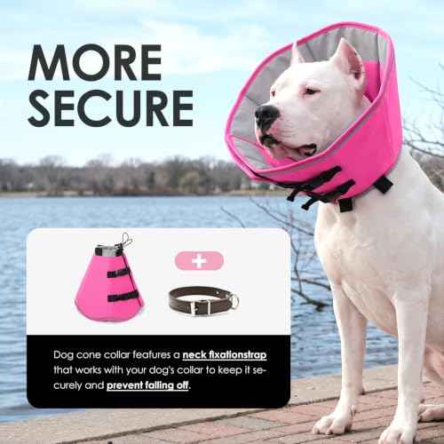 Dog Cones for Medium Dogs (PinkGrey / Medium)