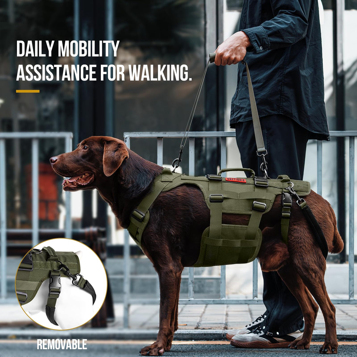 Dog Lift Harness for Large Dogs (Green / M)