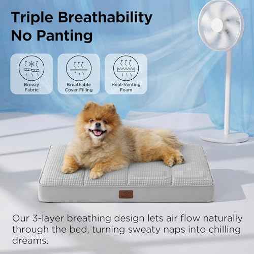 Small Cooling Dog Bed (24"L x 16"W x 3"Th / Cooling Grey)