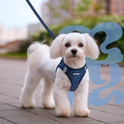 Dog Harness Small Sized and Leash Set (Navy Blue Plaid / M (Chest: 16.0"-18.5"))