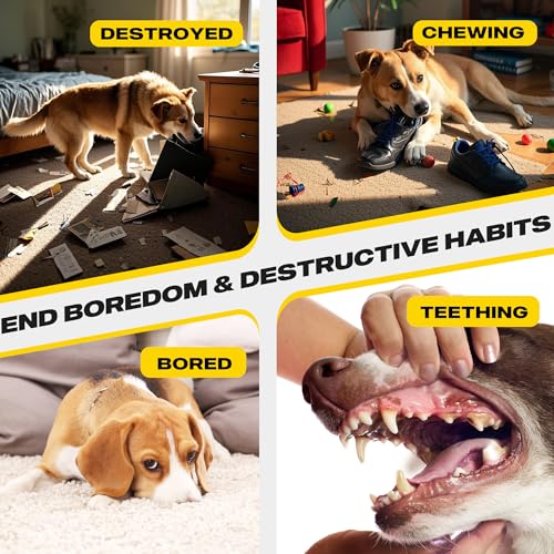 Heavy Duty Dog Rope Toys for Medium Large Dogs (White-4 Packs / Large)