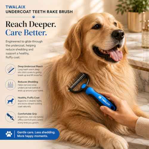 Pet Grooming Brushes Kit