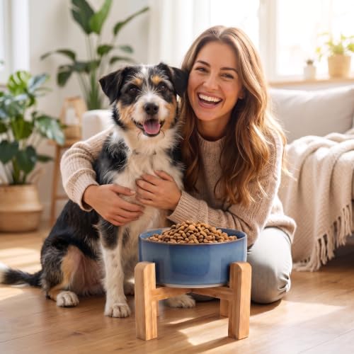 Elevated Ceramic Dog Bowl with Bamboo Stand (Deep Blue / 3.6Cup)