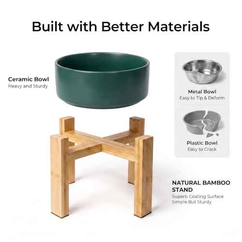 Elevated Ceramic Large Dog Bowl (Large / Green)