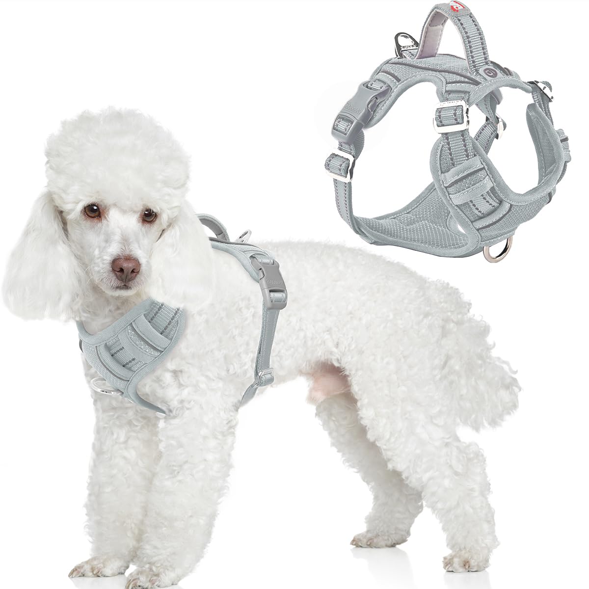 No Pull Dog Harness for Small Sized Dogs (Grey / X-Small(Chest:14.6-19.6”))
