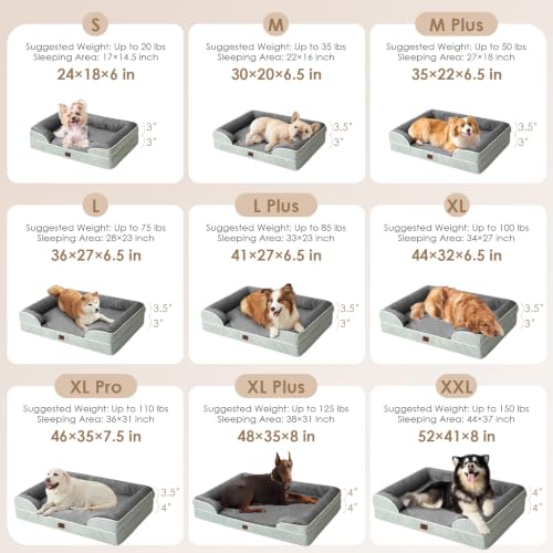Orthopedic XXL Dog Bed (Greyish Green / 46.0"l X 35.0"w X 7.5"th)