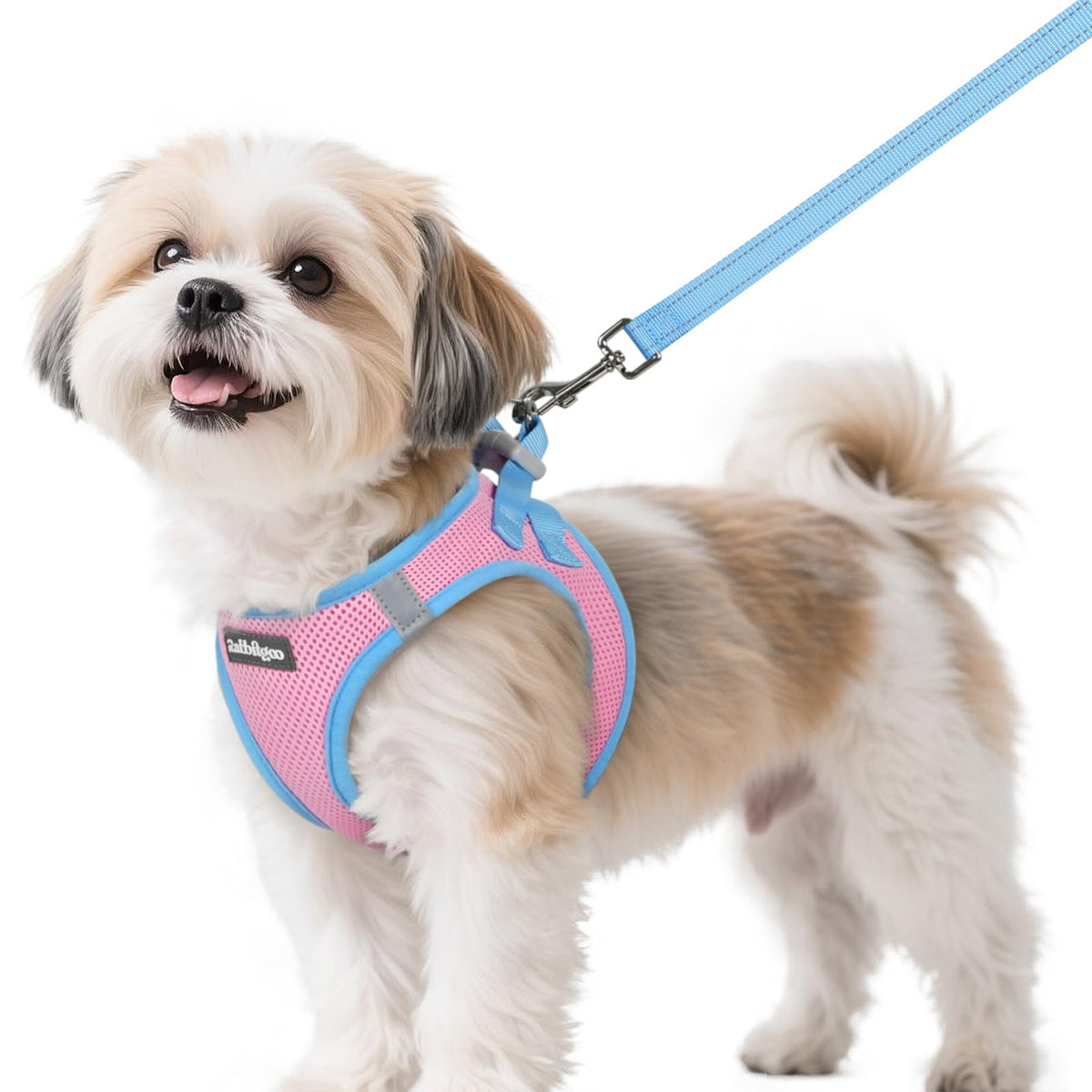 Dog Harness Small Sized and Leash Set (Pink & Blue / S (Chest: 15.1"-16.5"))