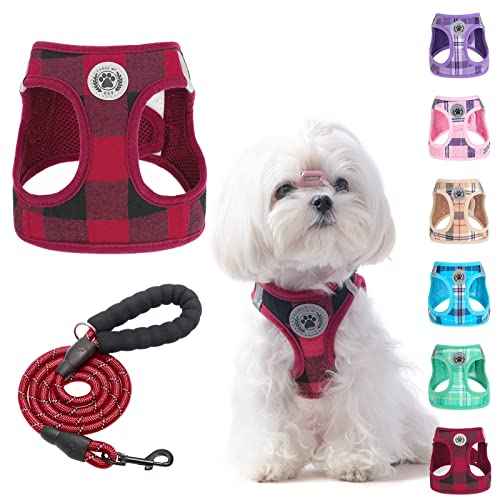 Small Dog Harness and Leash Set (XSmall(Chest Girth 13" - 14.5") / Red)