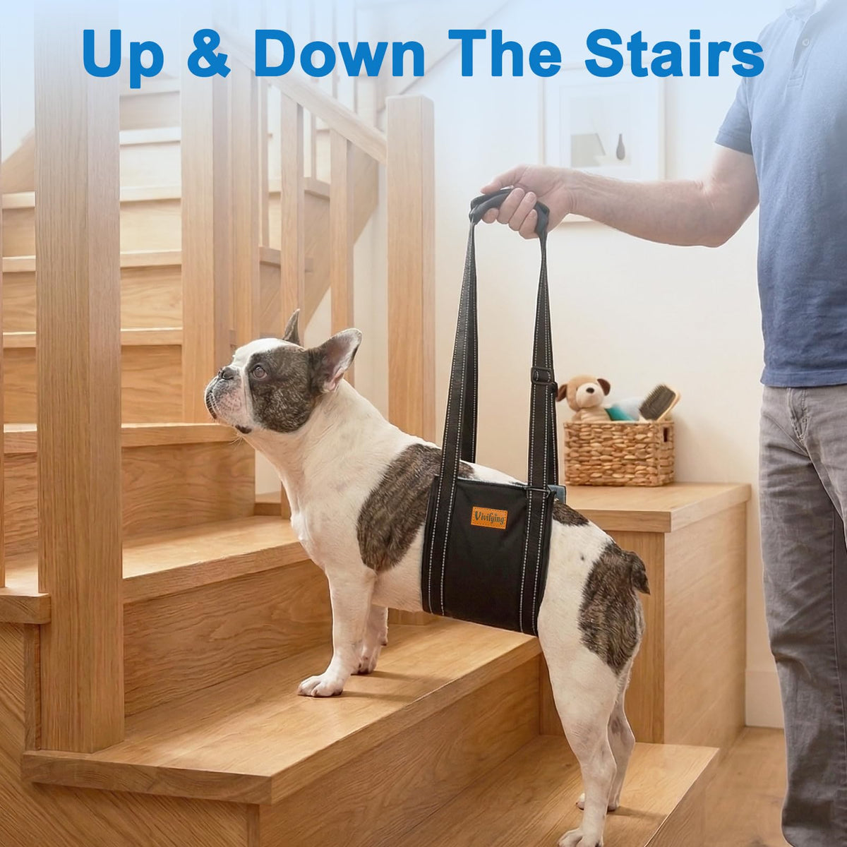 Dog Lift Harness (M)