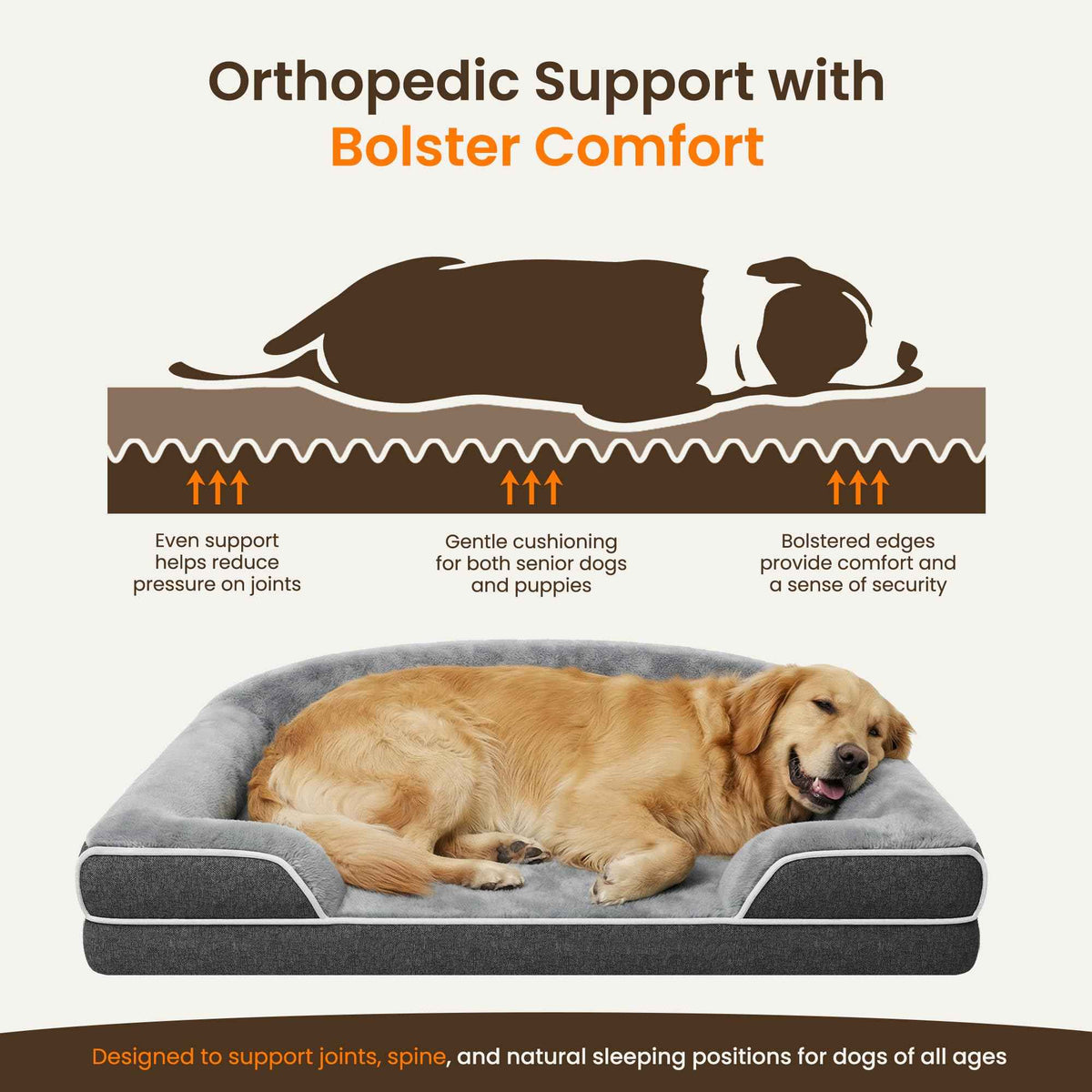 Orthopedic Dog Bed for Medium Dogs (Dark Grey / 35.0"L x 25.0"W x 7.0"Th)