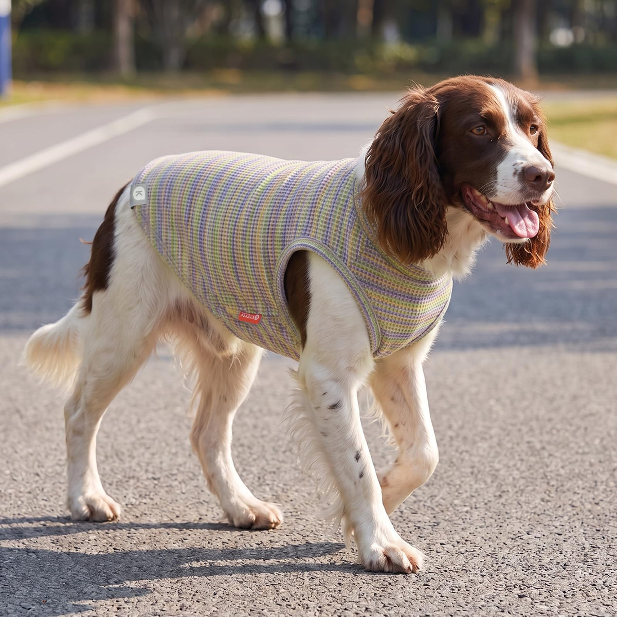 2Pack Waffle Dog Shirt for Small Medium Dogs Striped Dog Sweater (X-Large (19-27lbs) / 2Pack Marled)
