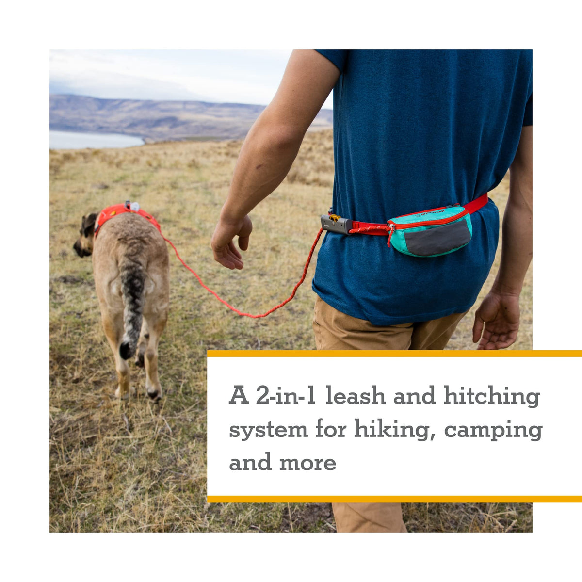Hitch Hiker Dog Leash (Red Currant / One Size)