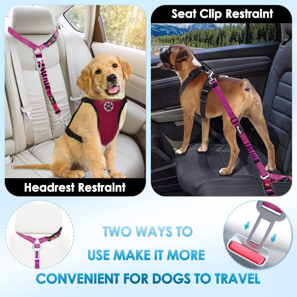Dog Seat Belt for Car (I.Fushia)