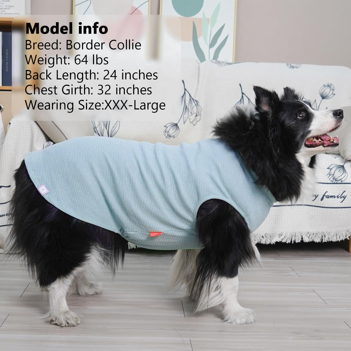 2Pack Waffle Dog Shirt for Large Dogs Soft Dog Sweater Tank Top (XXX-Large (55-75lbs) / 2Pack(Blue+Grey))