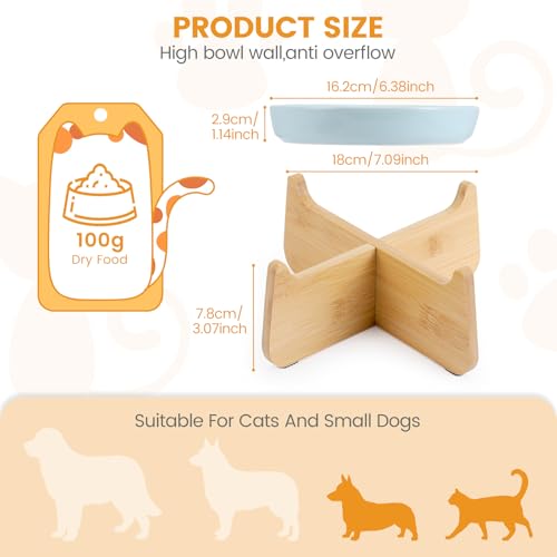 Slow Feeder Cat Bowl Elevated Ceramic with Bamboo Stand (Green Fish)