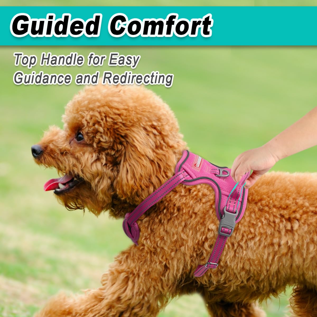 Dog Harness for Small Sized Dog No Pull Mesh 2 Clips Dog Vest (Pink-Mesh / Small)