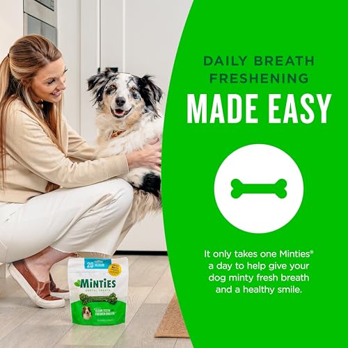 Mint Dental Chews for Dogs (Medium Dogs - 48oz)