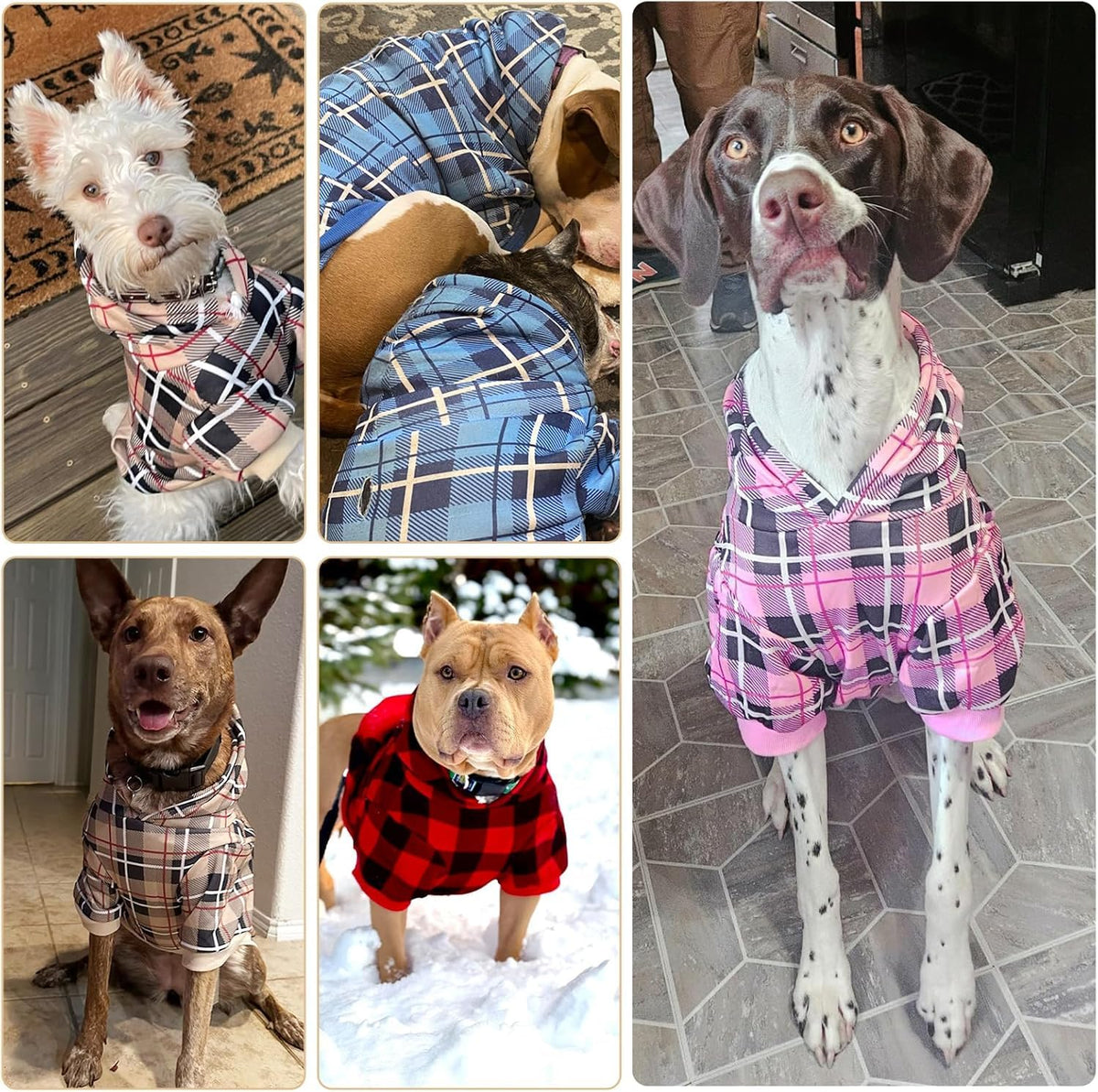 Plaid Dog Hoodie (Green / Medium)