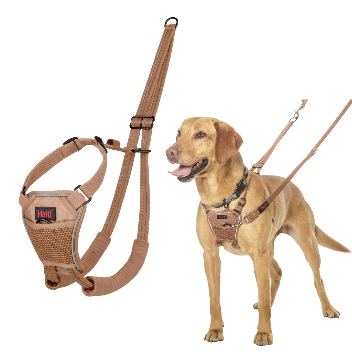 No Pull Dog Harness (Desert Sand / M)