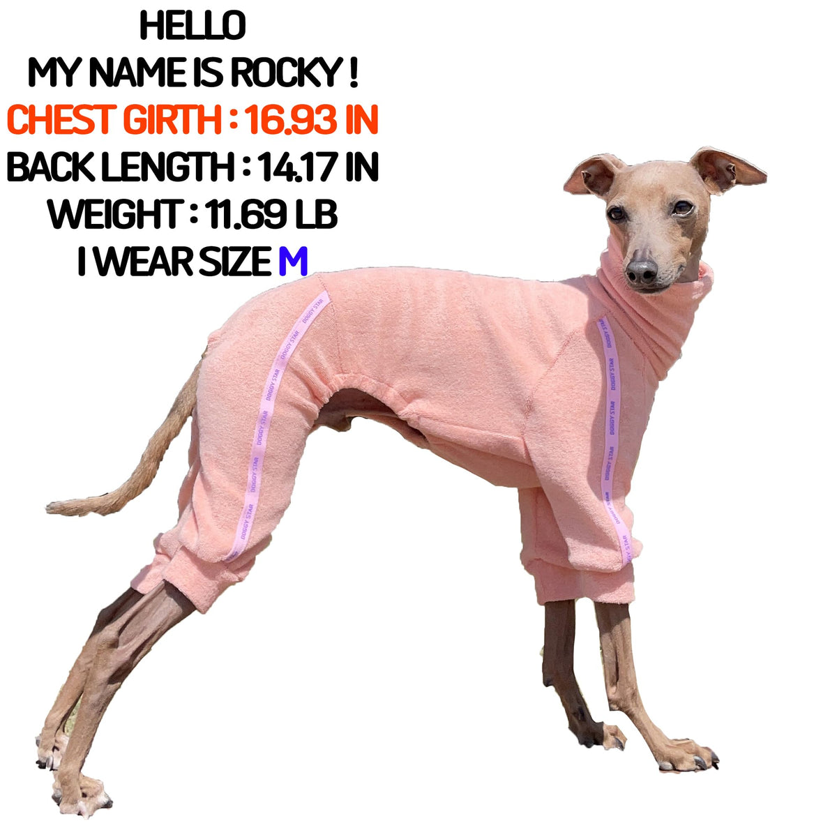D Doggy Star Italian Greyhound Clothes Stretchy Towel Sports Onesie Outfit Whippet for Dog Coat (S / Towel Apricot)