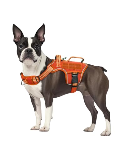 Dog Harness Tactical No Pull for Small Sized Dog with Handle (Orange / S(Neck:16-22",Chest:20-28"),18-35 lbs)