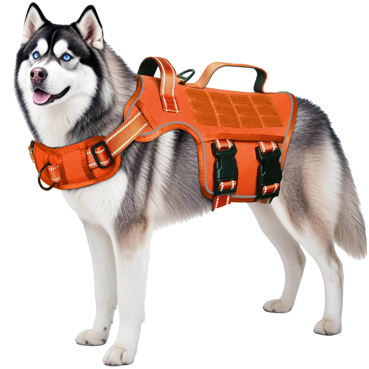 Dog Harness for Large Dogs (Orange / XL(Neck:21-32",Chest:26-39"),75-135 lbs)
