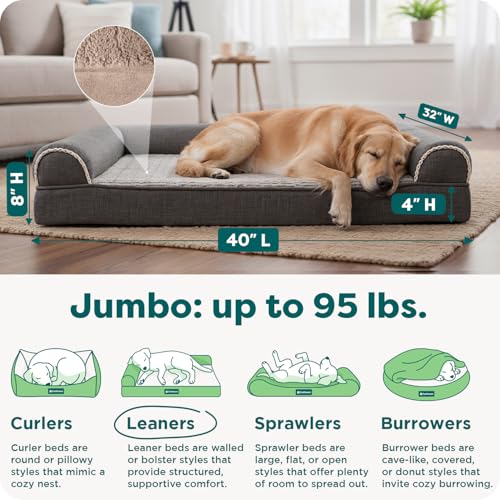 Orthopedic Dog Bed for Large Dogs w (Jumbo / Charcoal)