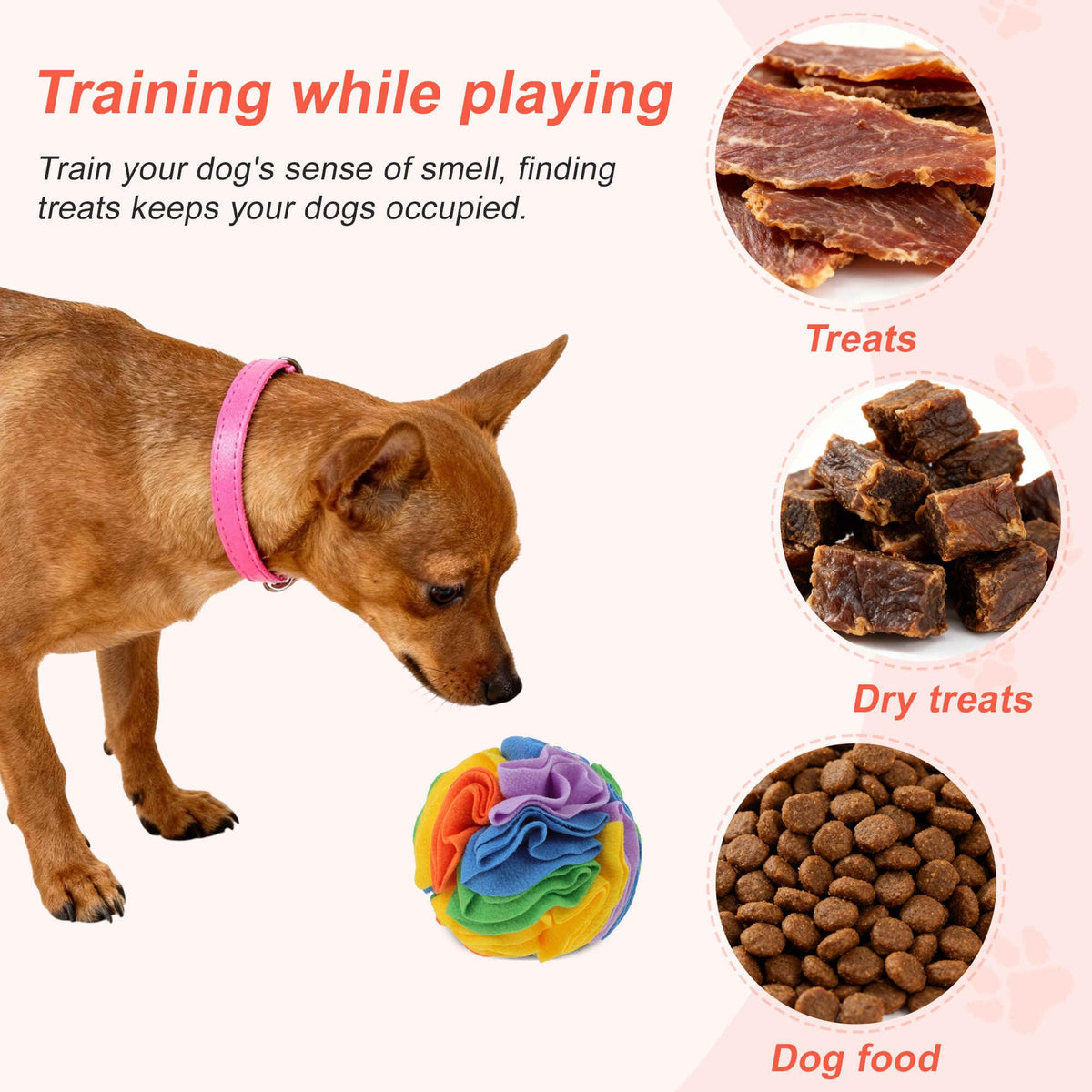 Snuffle Ball for Dogs (Bright Rainbow / Medium)