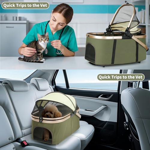 Double Pet Stroller (Green)
