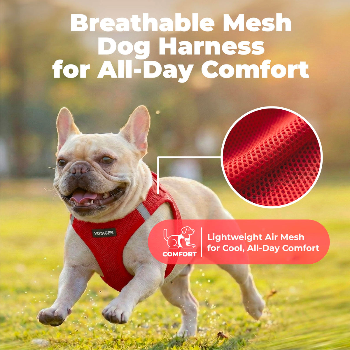 Voyager Step in Air Dog Vest Harness (Red / XXS (Chest: 12 - 13.5"))