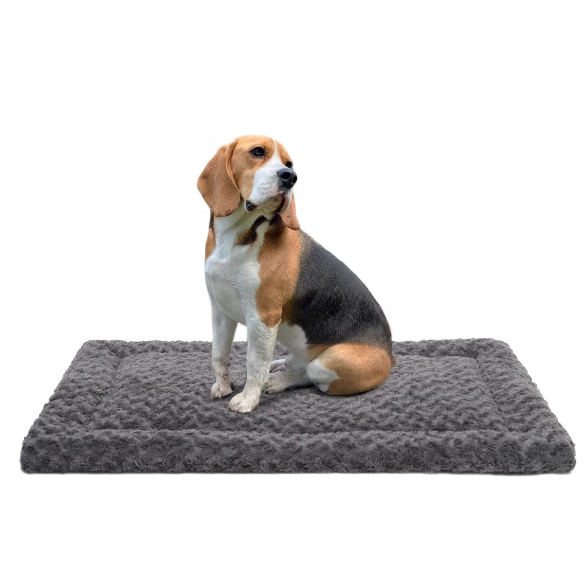 Washable Dog Bed Mat Medium Size Fluffy Pet Crate Pad 36x23 (Grey / 36.00" x 23.00" x 1.50")