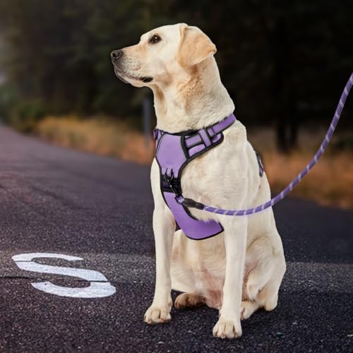 No Pull Dog Harness for Large Dogs (Light Purple / X-Large)