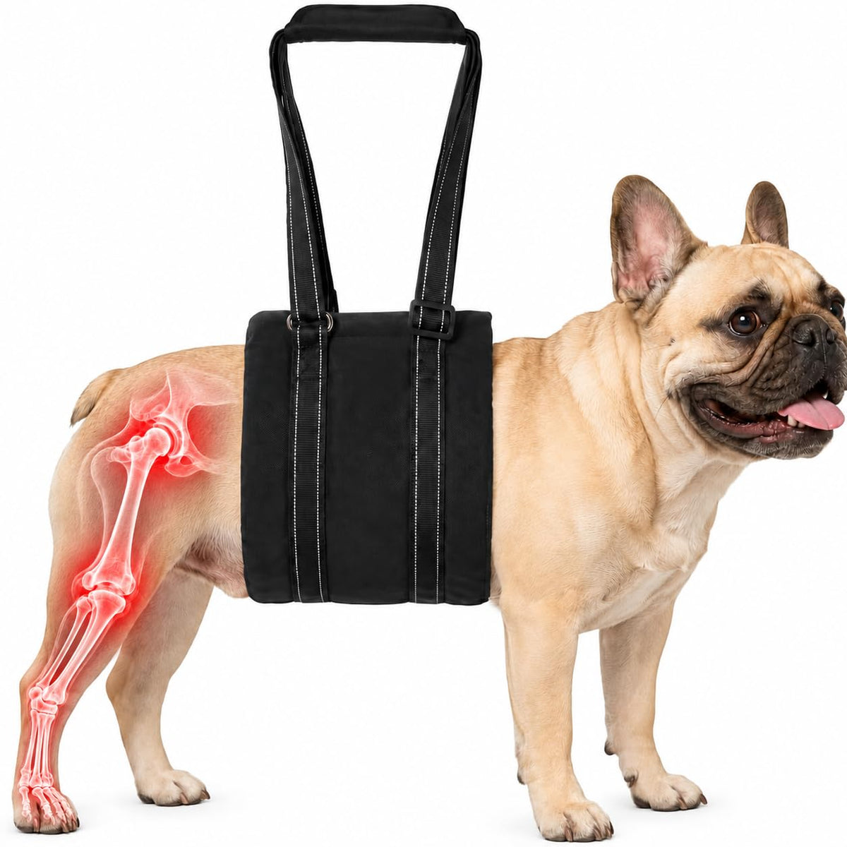 Adjustable Dog Sling for Small Dogs (Small)