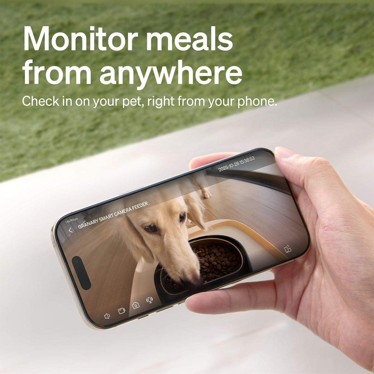Automatic Cat Feeder with Camera (Black / 5l-camera)