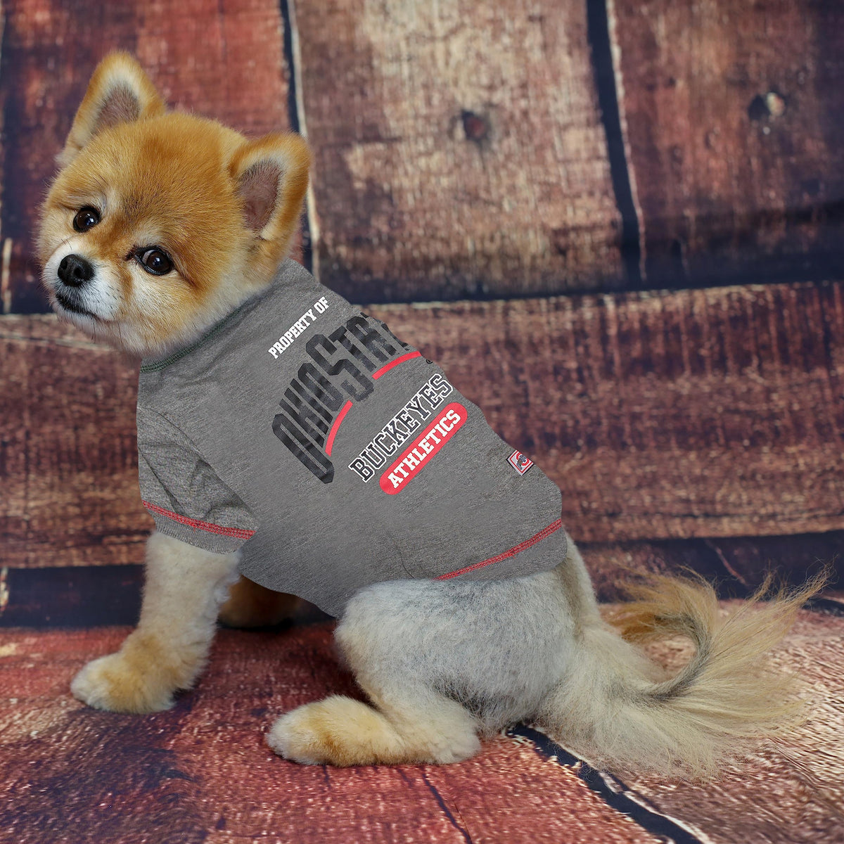 Collegiate OHIO STATE BUCKEYES Dog T (Ohio State Buckeyes / X-Small)